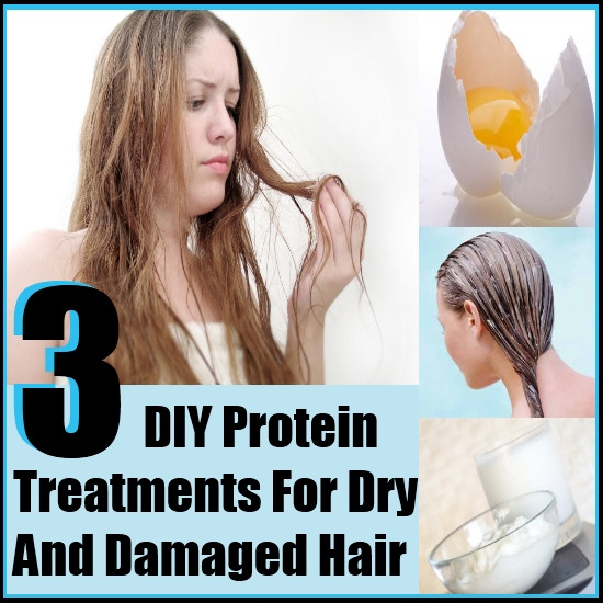 Dry Hair Treatment DIY
 3 DIY Protein Treatments For Dry and Damaged Hair