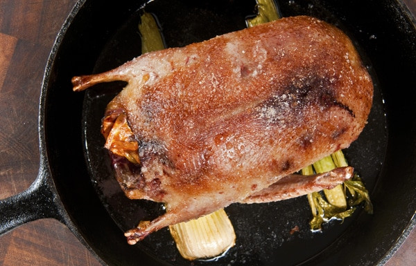 Duck Recipes Slow Cooker
 Slow Roasted Duck