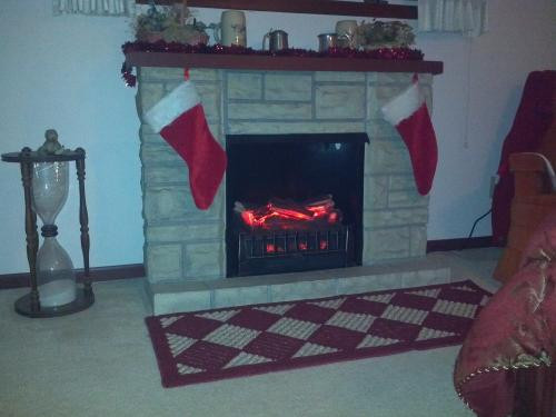 Duraflame Electric Fireplace Insert
 Duraflame 20 in Electric Fireplace Insert DFI020ARU at