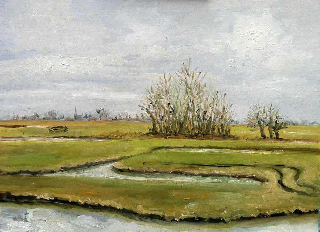 Dutch Landscape Painting
 Dutch Landscape oil painting 30 x 40 en plein air by