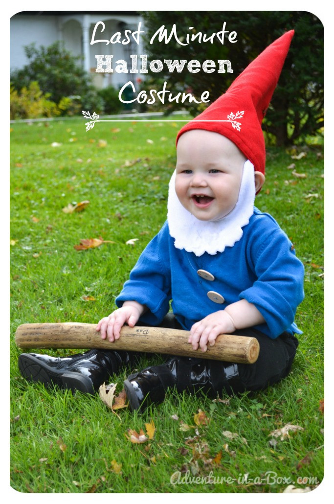 Easy DIY Baby Halloween Costumes
 DIY Gnome Costume