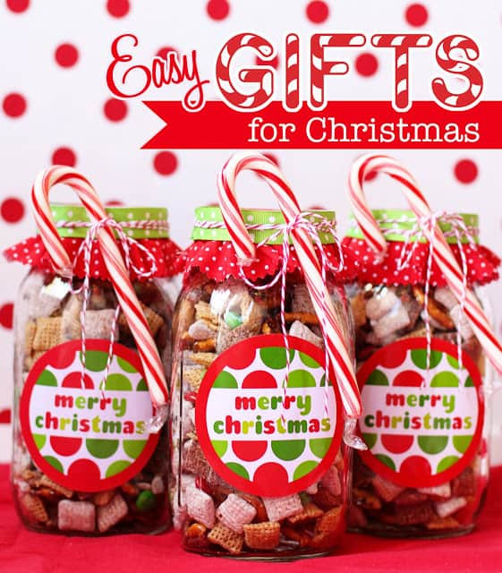 Easy DIY Christmas Gifts For Family
 24 DIY Christmas Gifts Your Friends and Family Will Adore