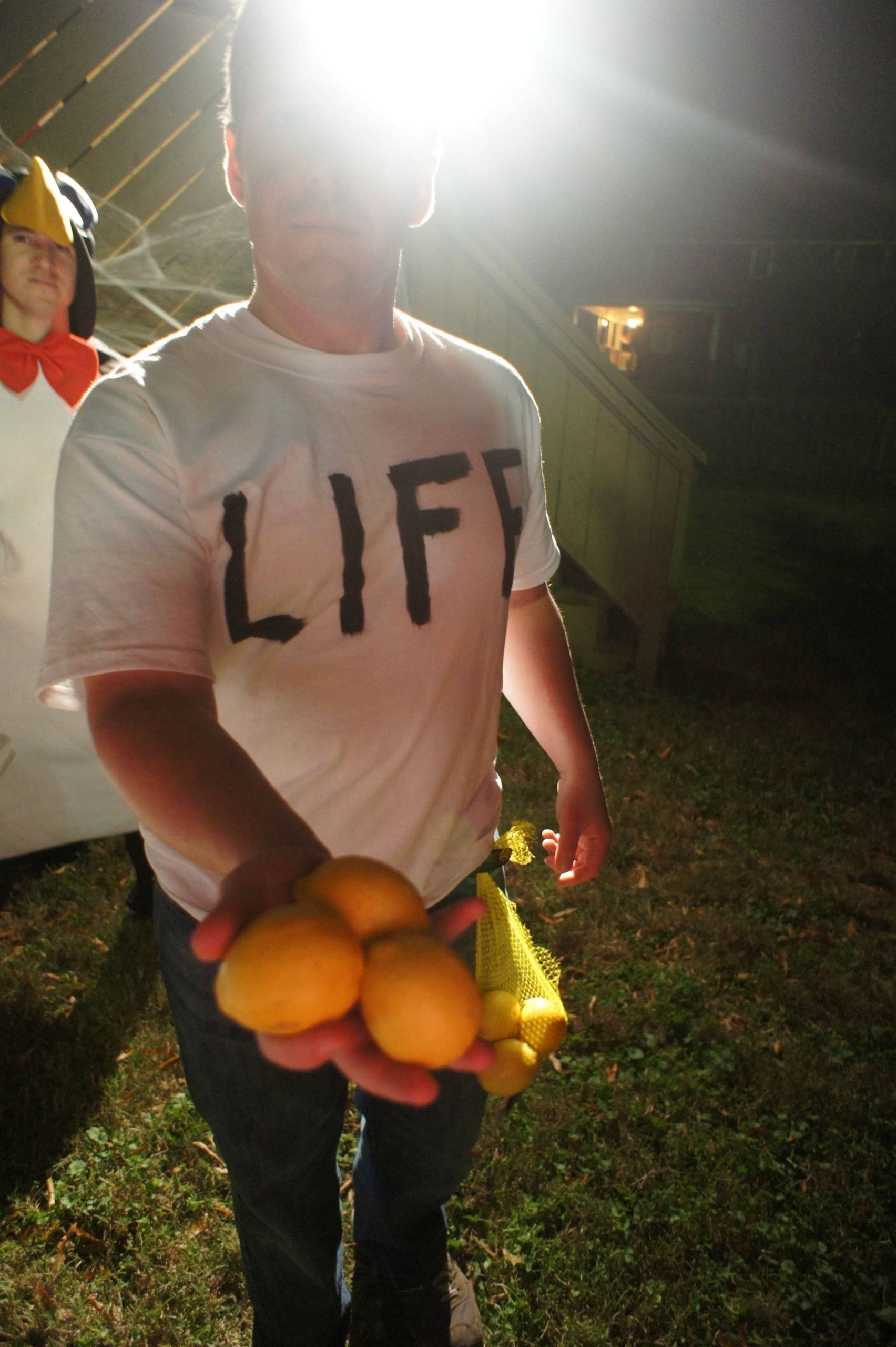 Easy DIY Halloween Costumes For Men
 When Life Gives You Lemons