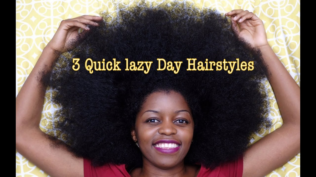 Easy Hairstyles For Black People'S Hair
 3 Quick Lazy Day Hairstyles for Natural Hair