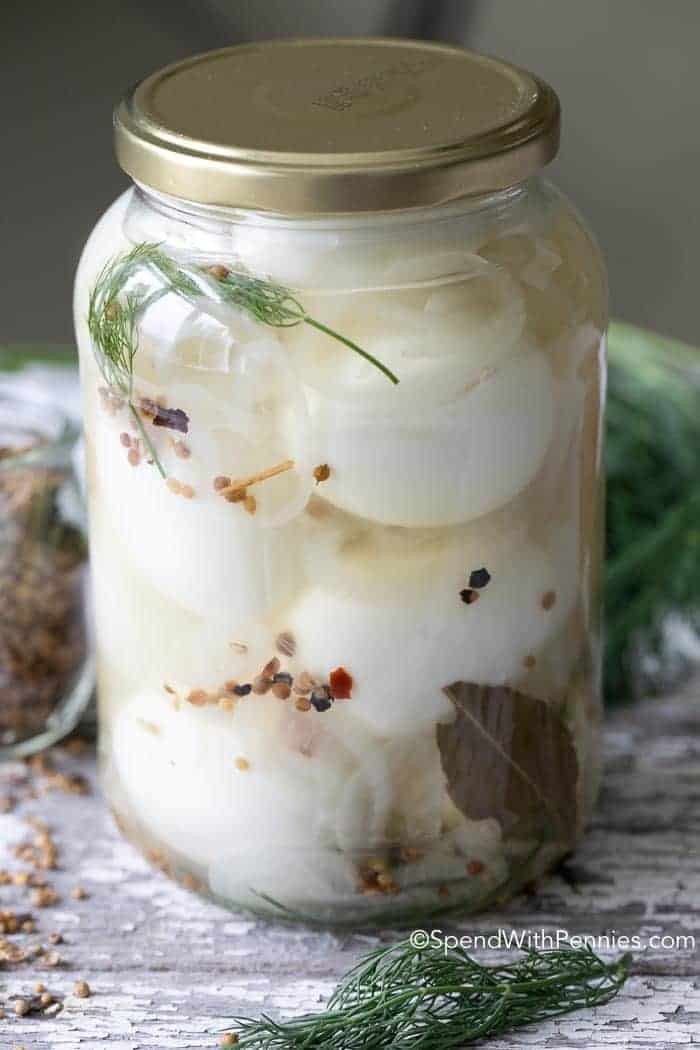Easy Pickled Eggs
 Easy Pickled Eggs No Canning Required Spend With Pennies