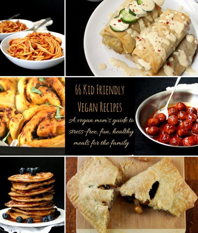 Easy Vegan Dinner Recipes Kid Friendly
 Pin on Holy Cow Vegan recipes from the blog