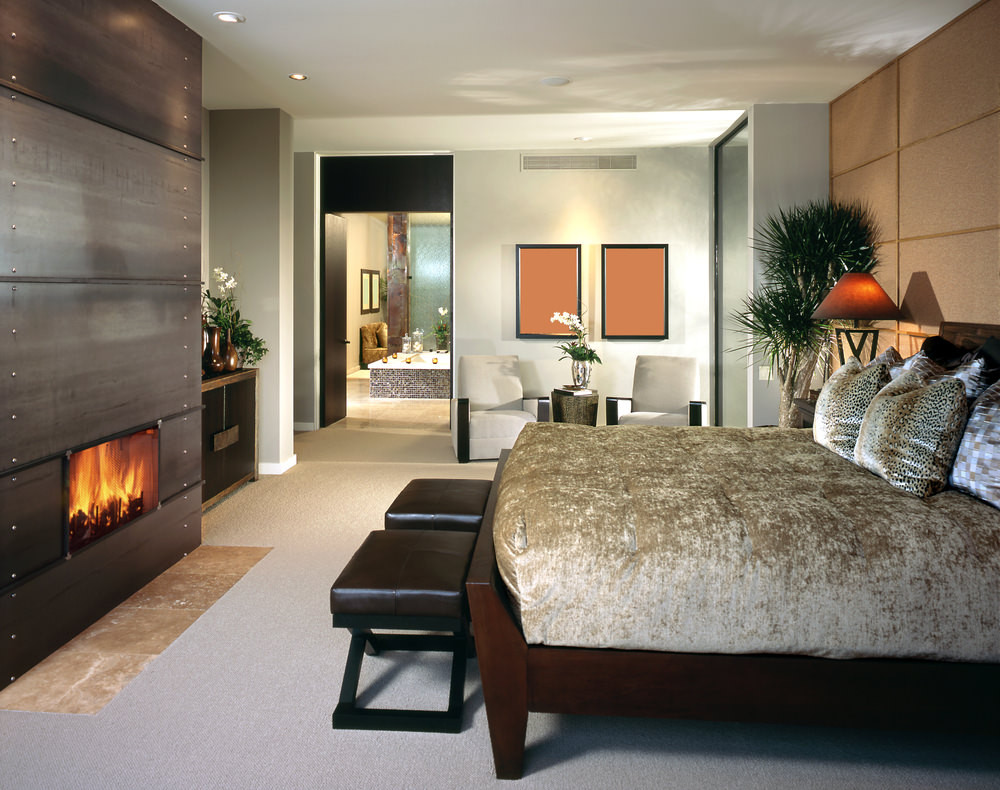 Electric Fireplace Bedroom
 101 Primary Bedrooms with Fireplaces s