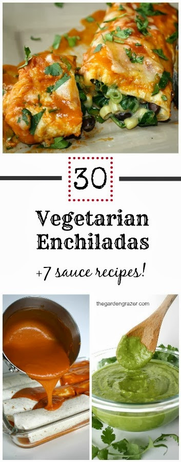 Enchiladas Recipes Vegetarian
 The Garden Grazer 30 Ve arian Enchilada Recipes 7