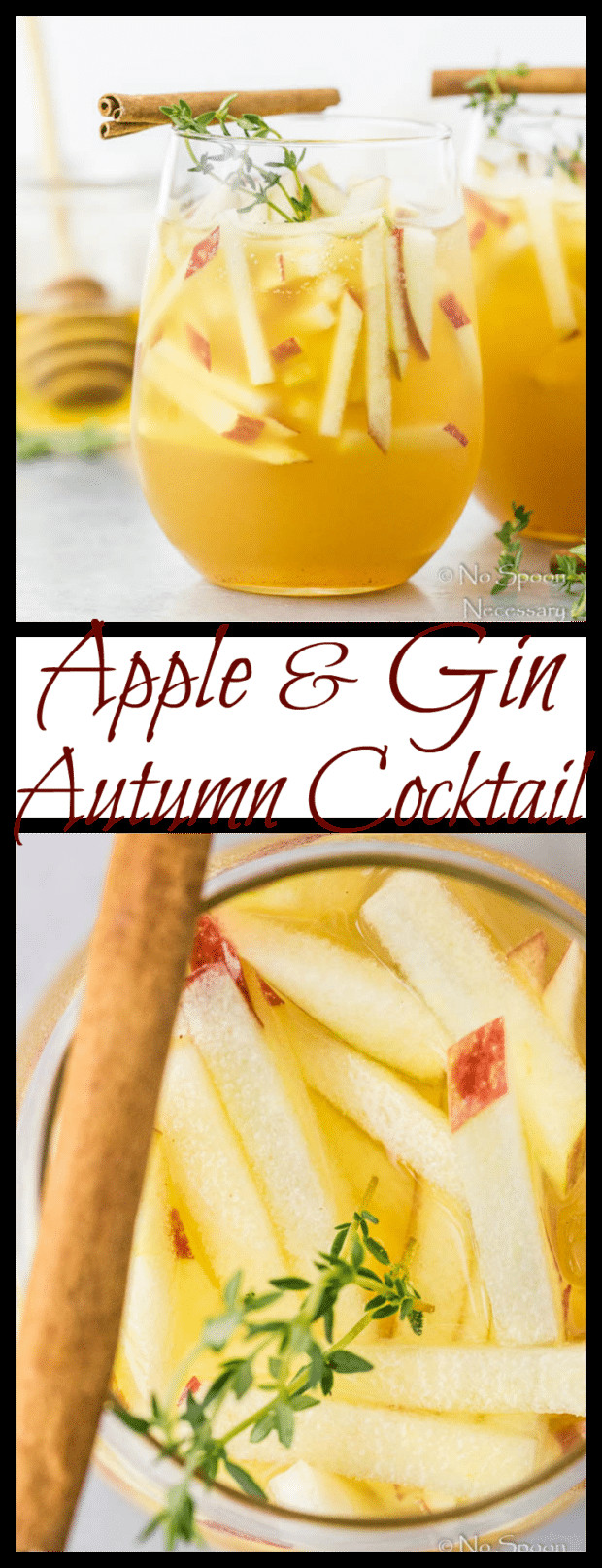 Fall Gin Drinks
 Apple & Gin Autumn Cocktail No Spoon Necessary