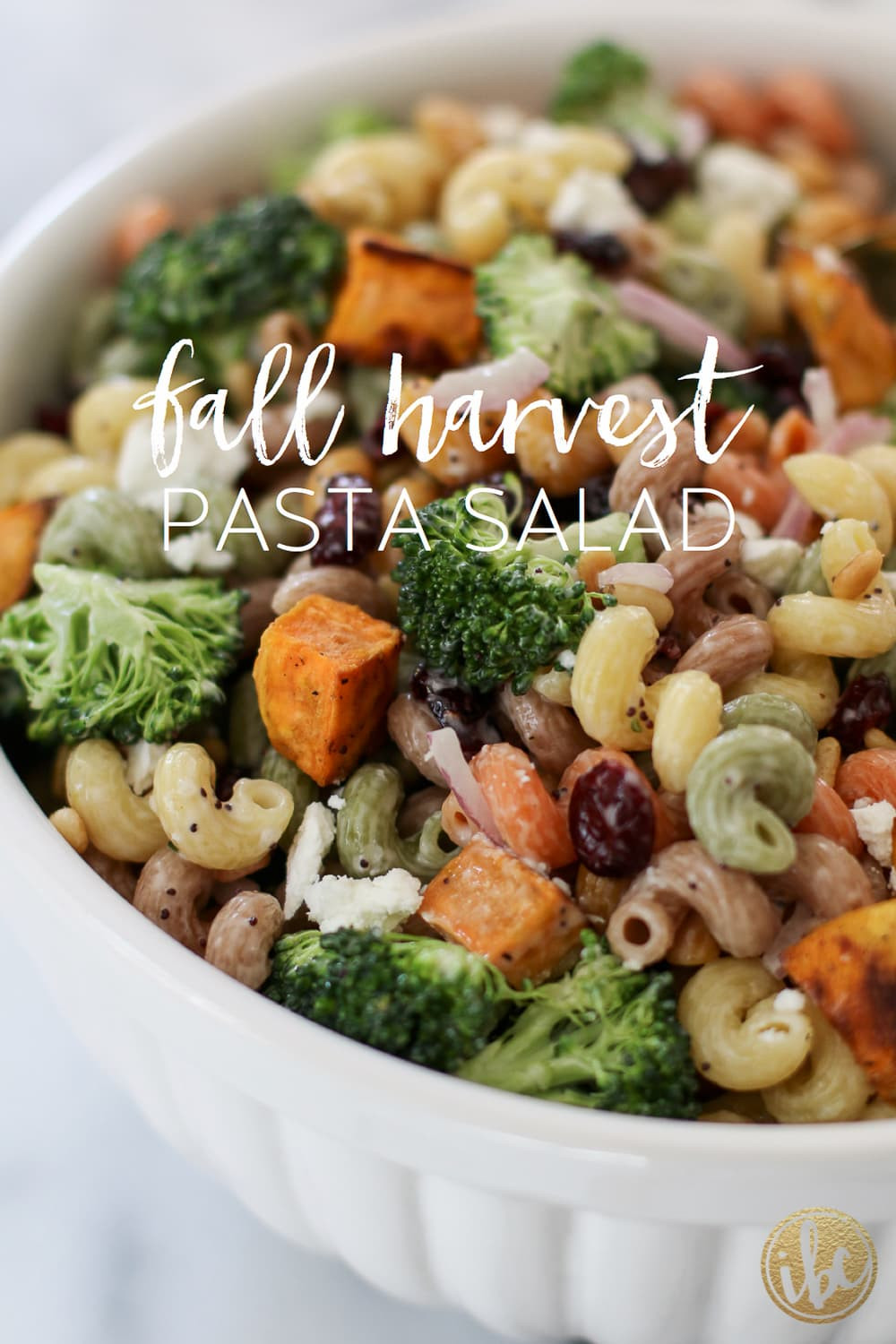 Fall Pasta Salad
 Fall Harvest Pasta Salad Inspired by Charm
