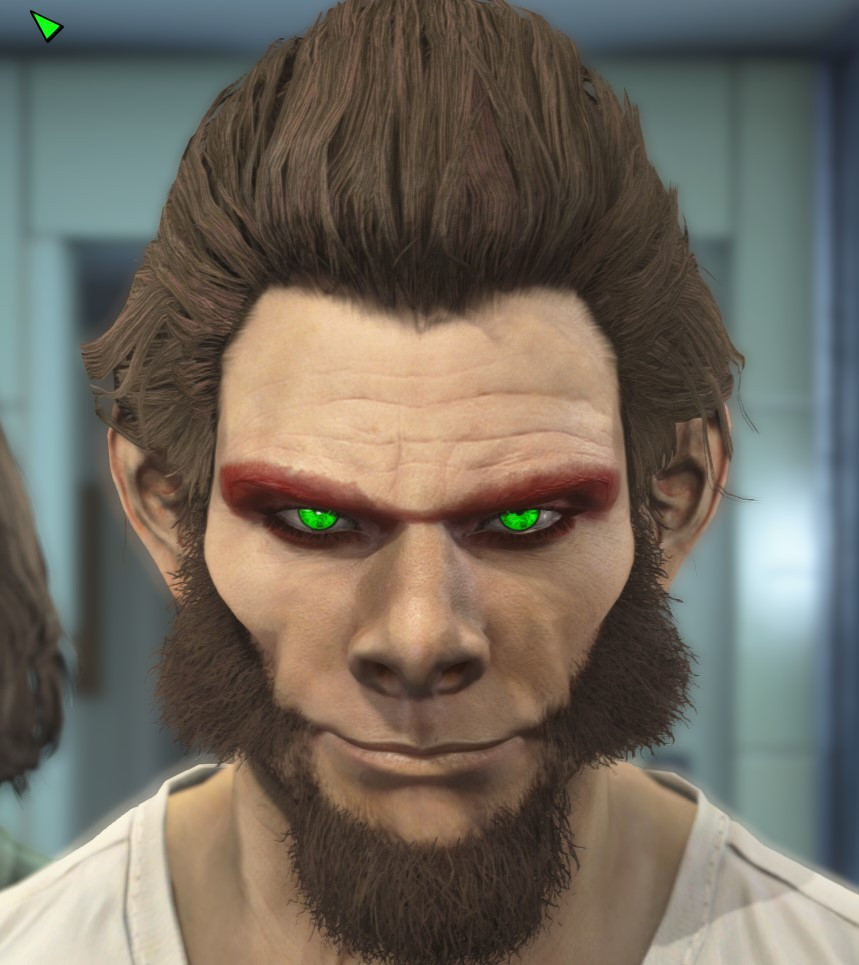 Fallout 4 Lots More Male Hairstyles
 League of Legends LoL Champions LooksMenu Face Presets