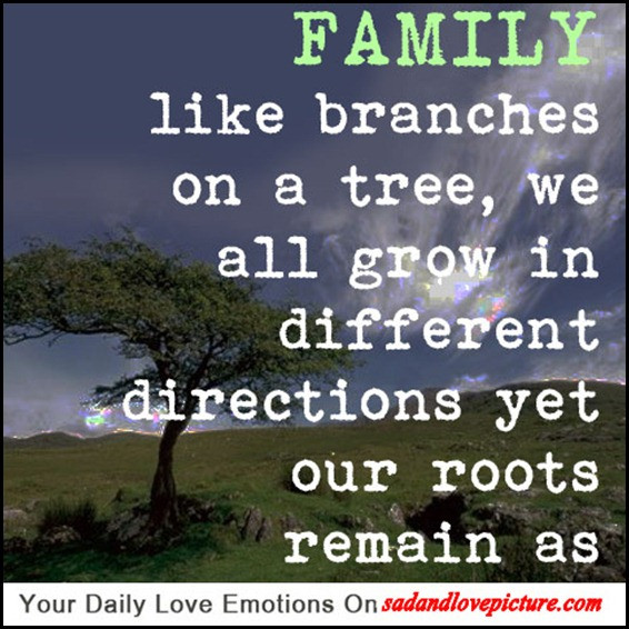 Family Distance Quotes
 SAD AND LOVE PICTURE FAMILY like branches on a tree we