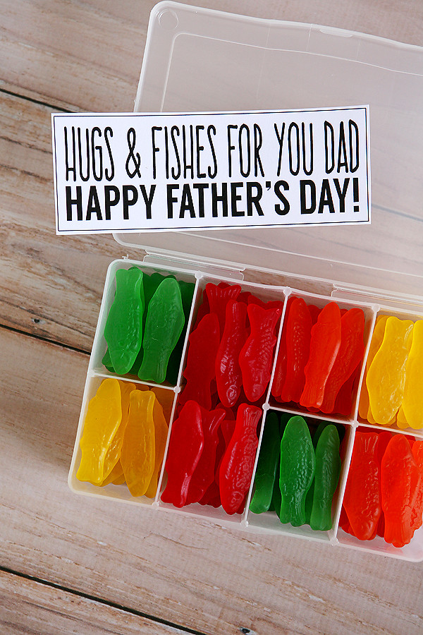 Father'S Day DIY Gifts
 Father s Day Gift Ideas – Fun Squared