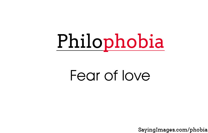 Fear Of Love Quotes
 Fear Love Quotes QuotesGram