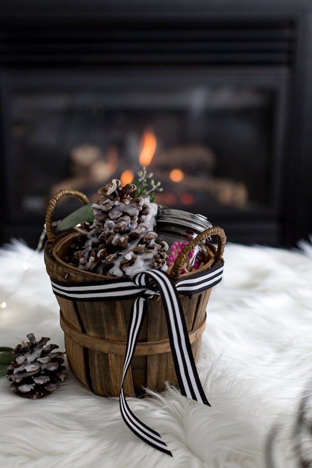 Fire Starter Kit DIY
 DIY Pine Cone Fire Starter Kit