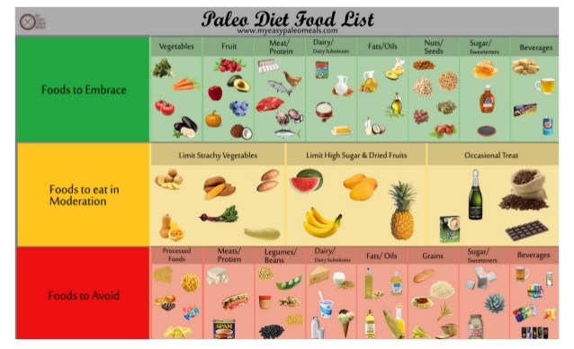 Foods To Eat On Paleo Diet
 Paleo Diet Food List Infographic