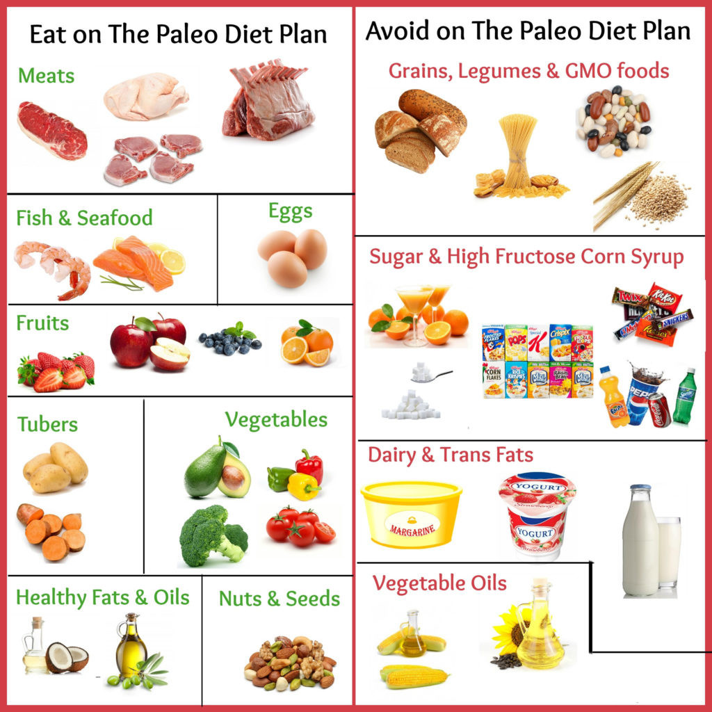 Foods To Eat On Paleo Diet
 What is Paleo Diet What foods to eat and avoid on Paleo Diet