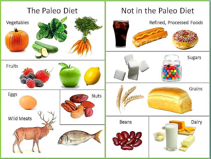 Foods To Eat On Paleo Diet
 10 best and WORST ts of 2014 – FITNESS AND NUTRITION