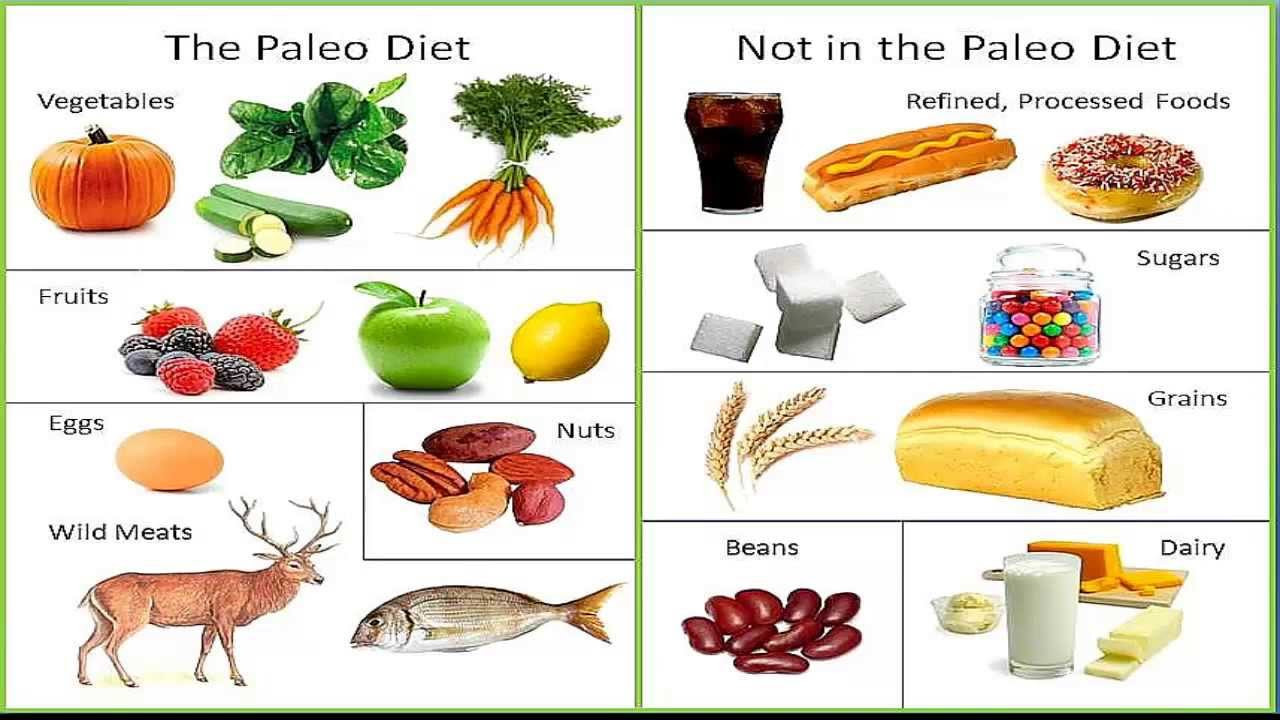 Foods To Eat On Paleo Diet
 The Links Between Your Hormone and Diet AAI Clinic