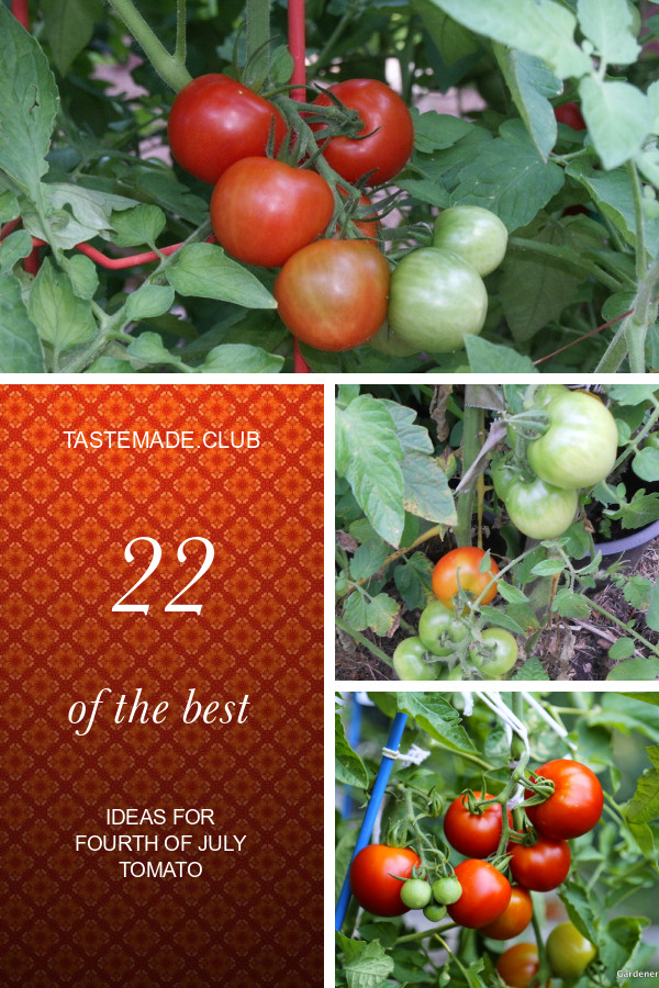 Fourth Of July Tomato
 22 the Best Ideas for Fourth July tomato Best