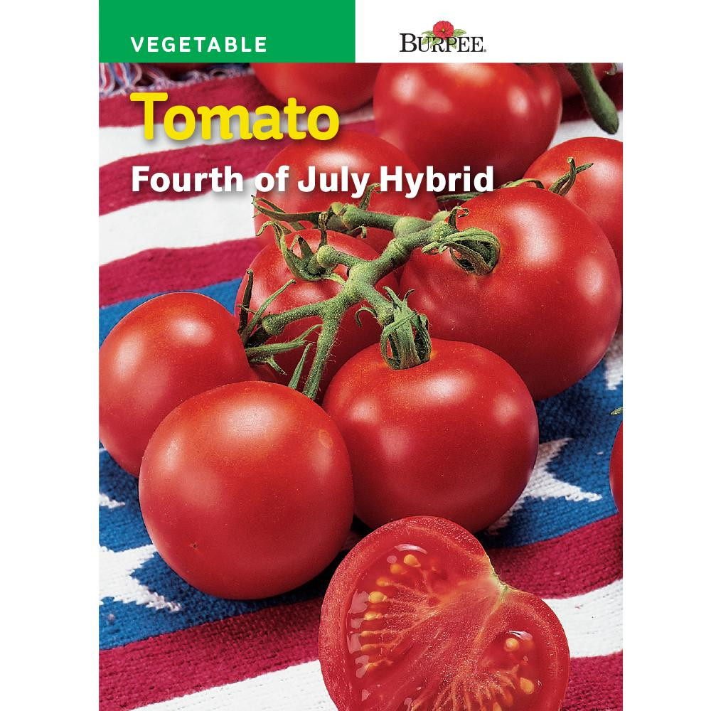 Fourth Of July Tomato
 Gurney s Tomato Early Girl Hybrid 30 Seed Packet