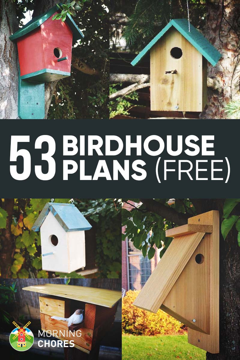 Free DIY Plans
 53 DIY Birdhouse Plans that Will Attract Them to Your Garden