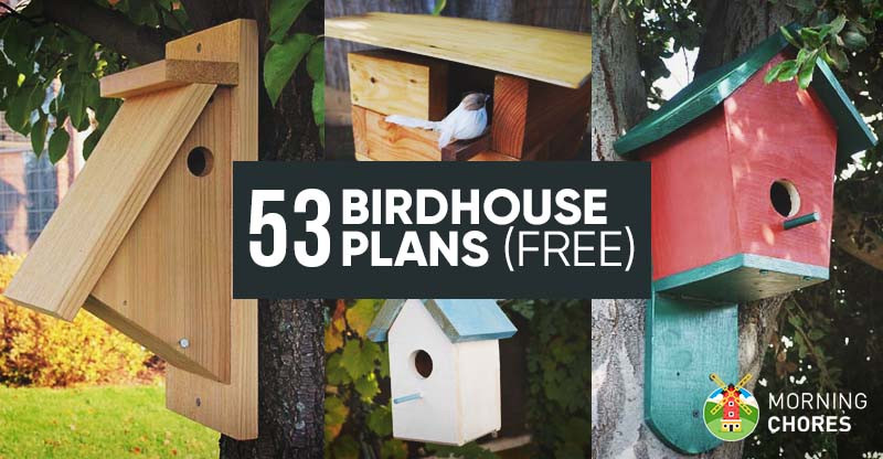 Free DIY Plans
 53 DIY Birdhouse Plans that Will Attract Them to Your Garden