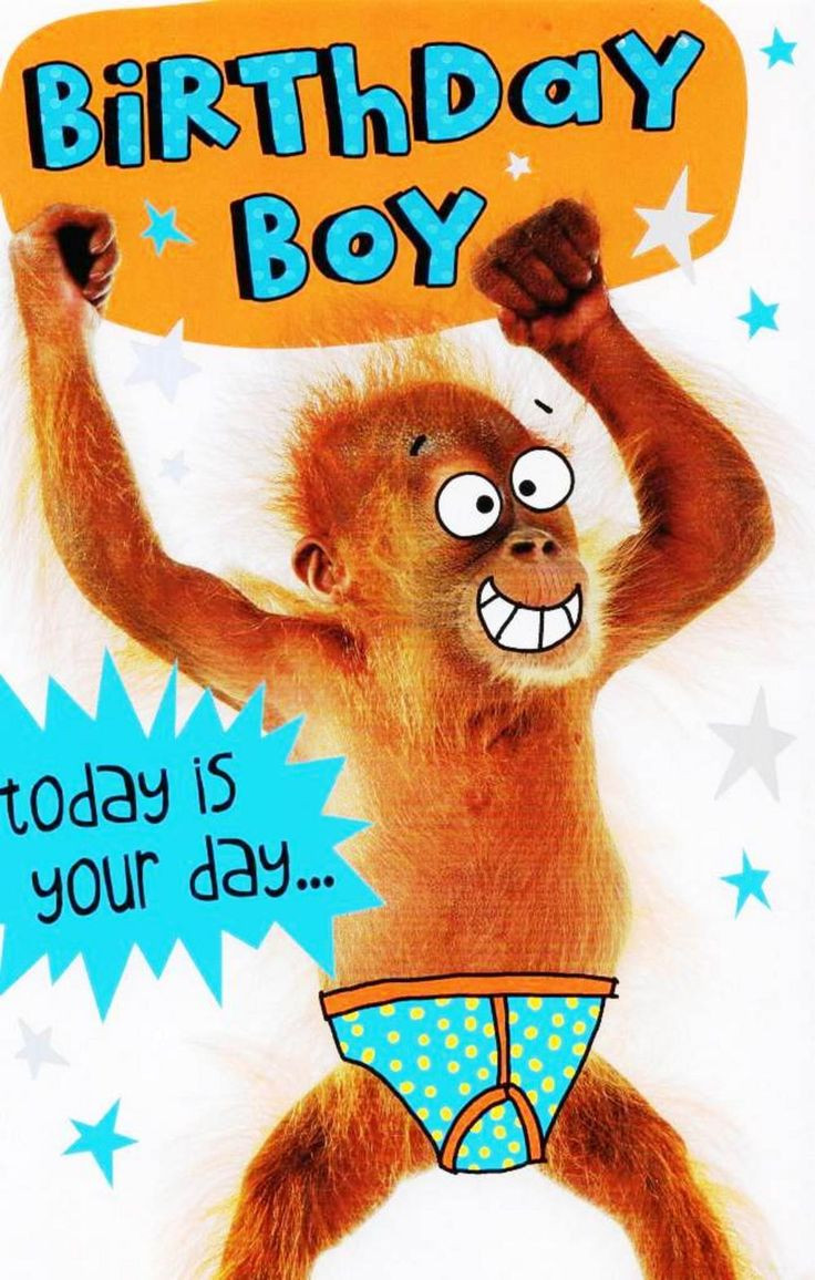 Free Funny Birthday Cards For Facebook
 Birthday Boy today is your day to go Bananas