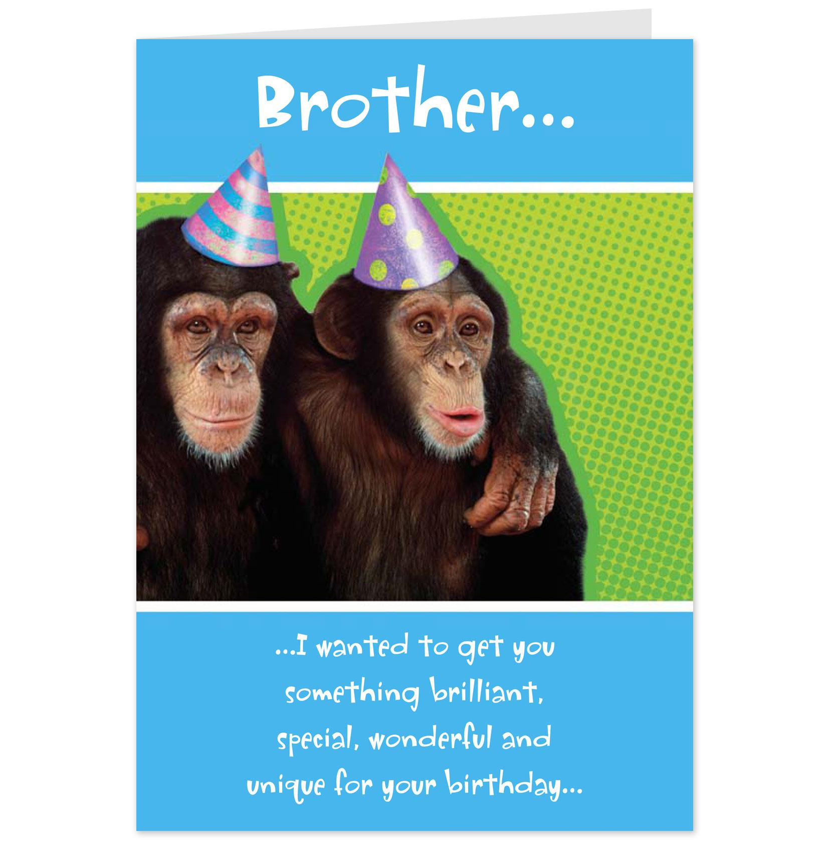 Free Funny Birthday Cards Online
 Funny Birthday Quotes From Maxine QuotesGram