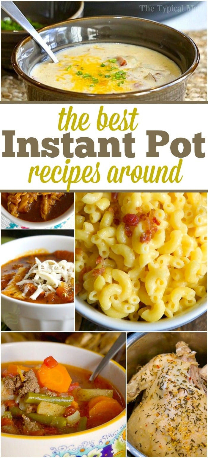 Free Instant Pot Recipes
 Easy Instant Pot Recipes · The Typical Mom