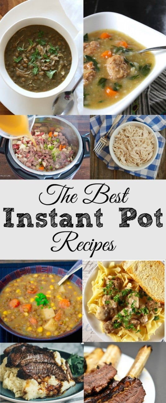 Free Instant Pot Recipes
 The best instant pot recipes · The Typical Mom