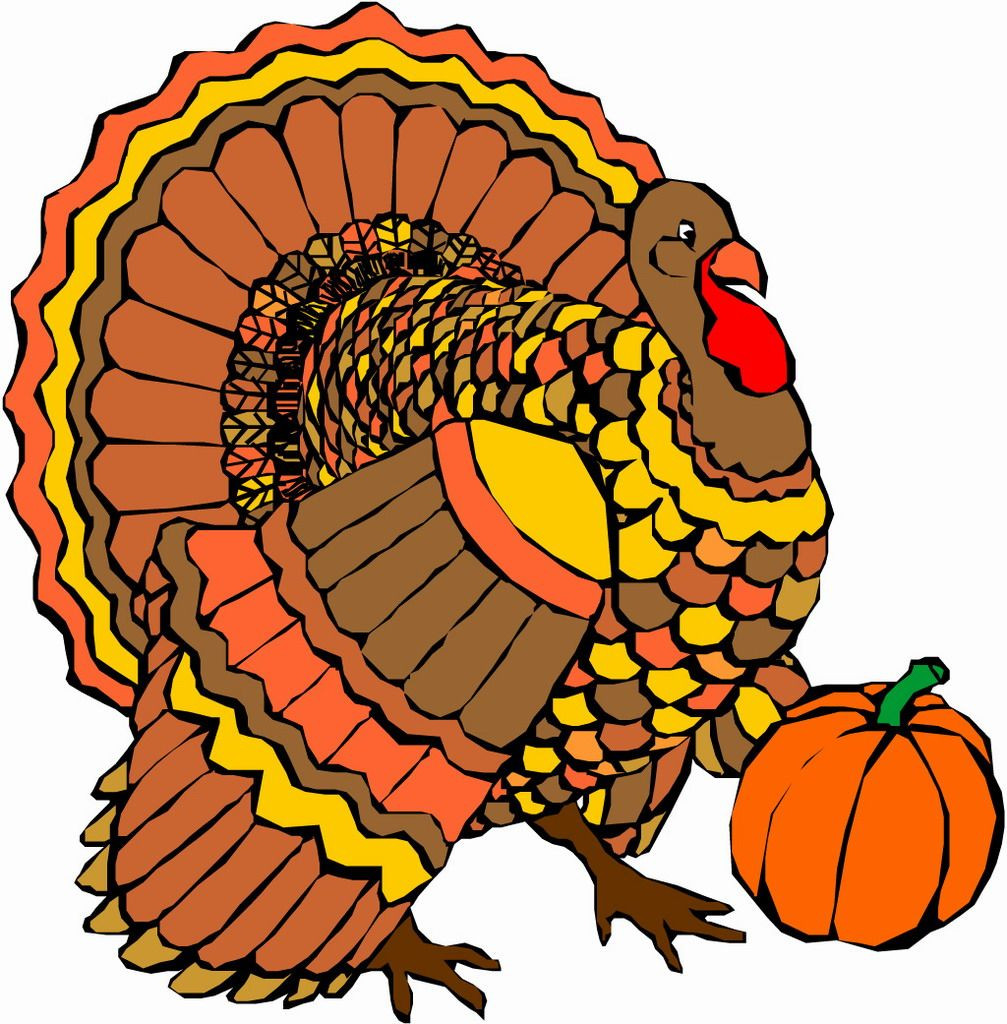 Free Turkey For Thanksgiving 2020
 free turkey clip art pictures thanksgiving 10 free
