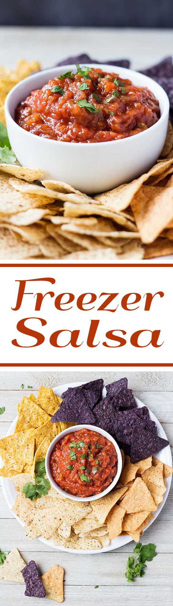 Freezer Salsa Recipe
 Freezer Salsa