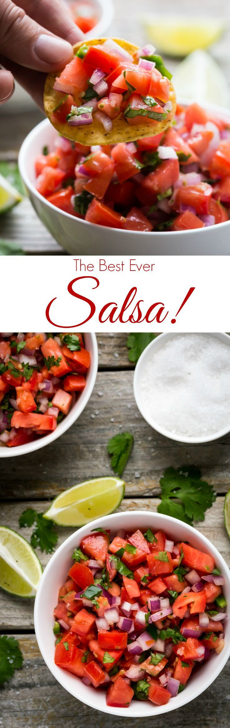 Fresh Salsa Recipe With Cilantro
 The BEST no cook salsa make it in TEN minutes with fresh