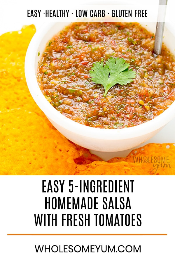 Fresh Salsa Recipe With Cilantro
 The BEST Homemade Fresh Tomato Salsa Recipe