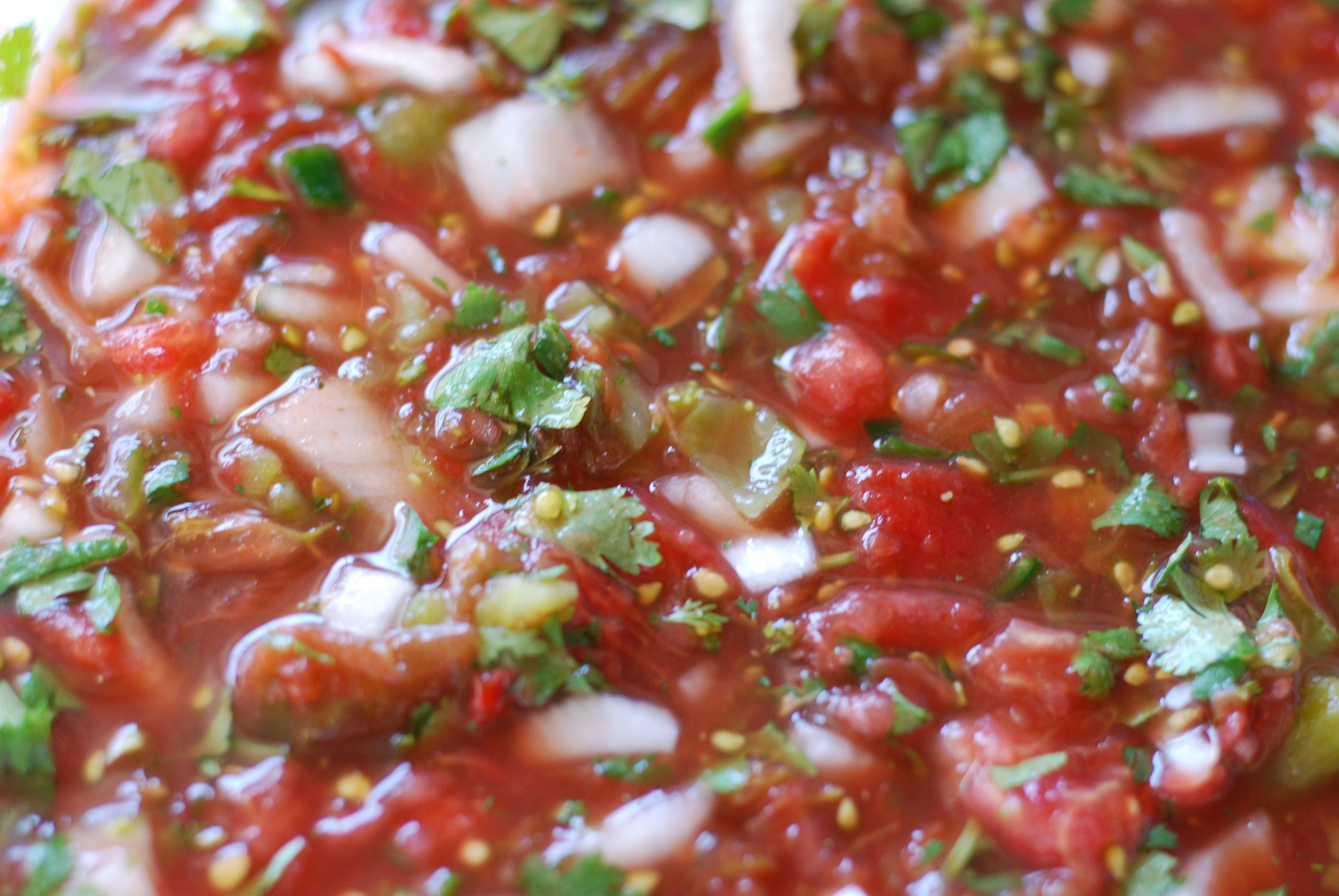 Fresh Salsa Recipe With Cilantro
 salsa recipes with cilantro