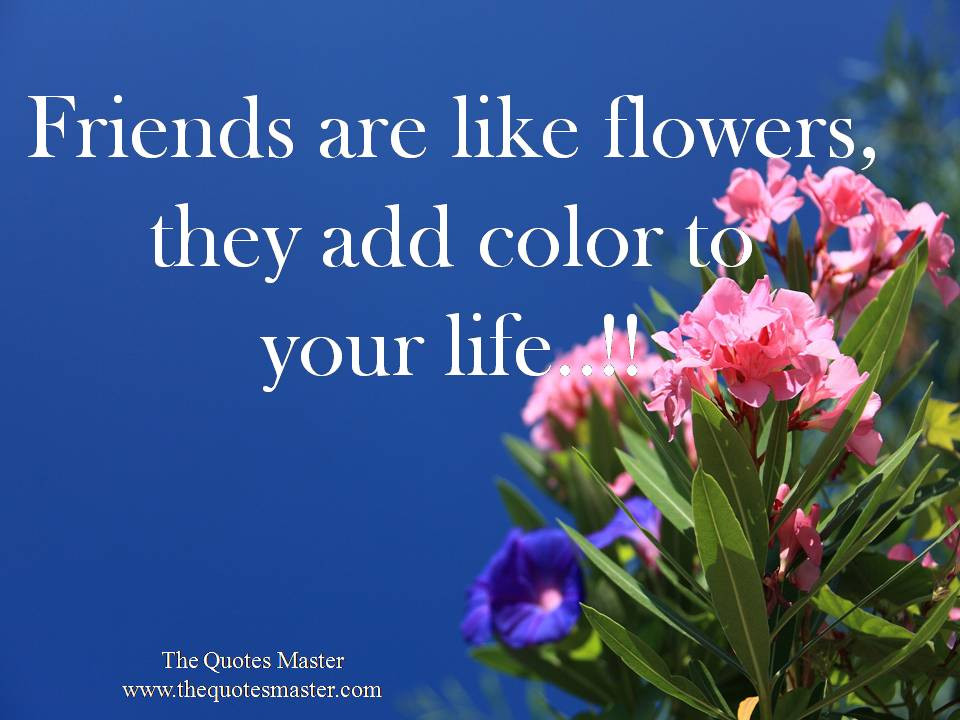 Friendship Quotes For Facebook
 150 Short Best Friend Captions For Instagram