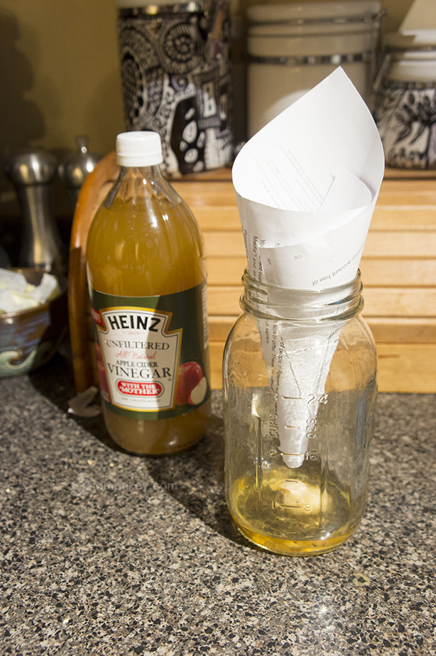 Fruit Fly Trap Apple Cider Vinegar
 25 Uses for Heinz Apple Cider Vinegar HeinzVinegar — JaMonkey