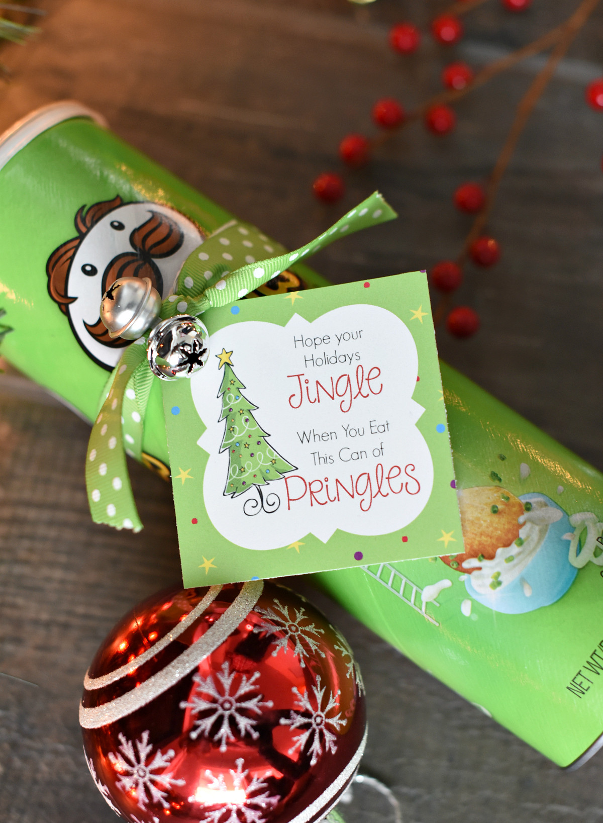 Fun DIY Christmas Gifts
 Funny Christmas Gift Idea with Pringles – Fun Squared