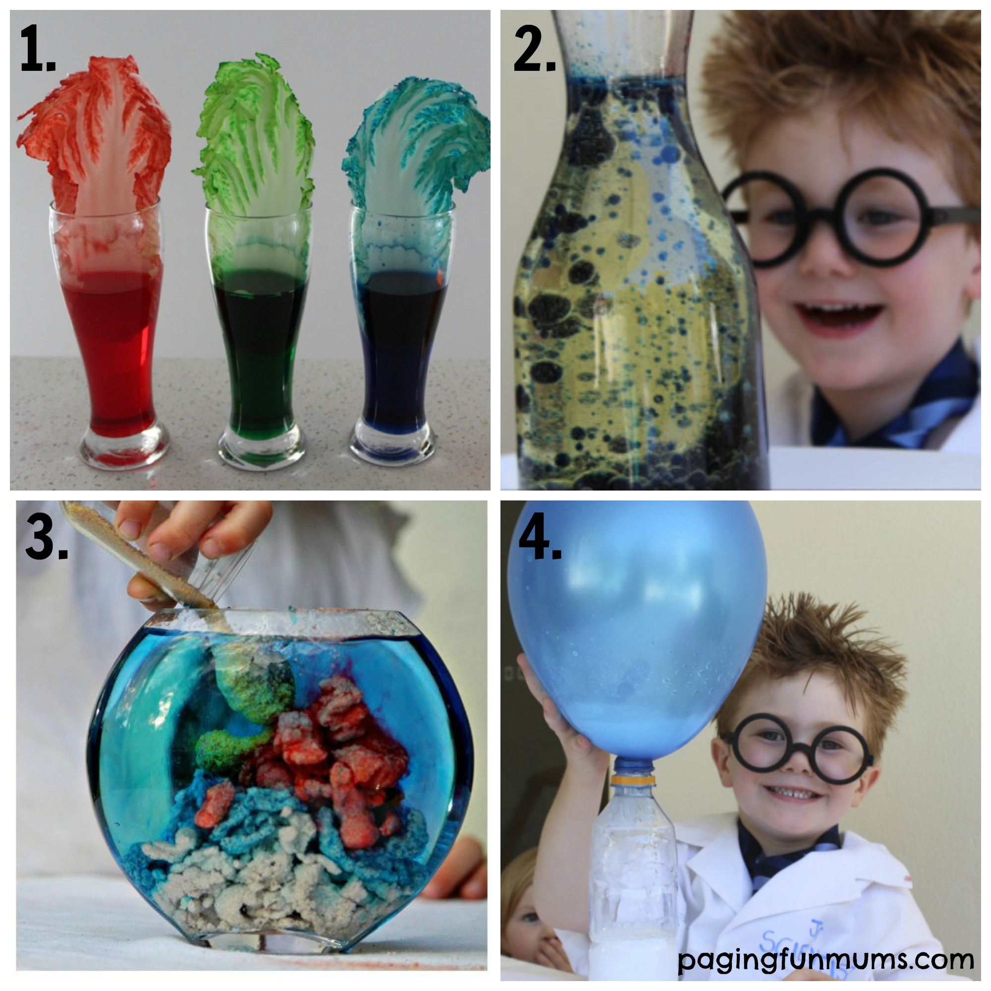 Fun Projects For Kids At Home
 21 Fun Science Experiments for Kids 1 4 Paging Fun Mums