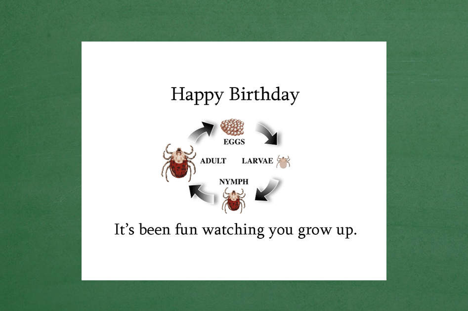 Funny 16th Birthday Cards
 Birthday Card 17th Birthday Card 16th Birthday Card 15th