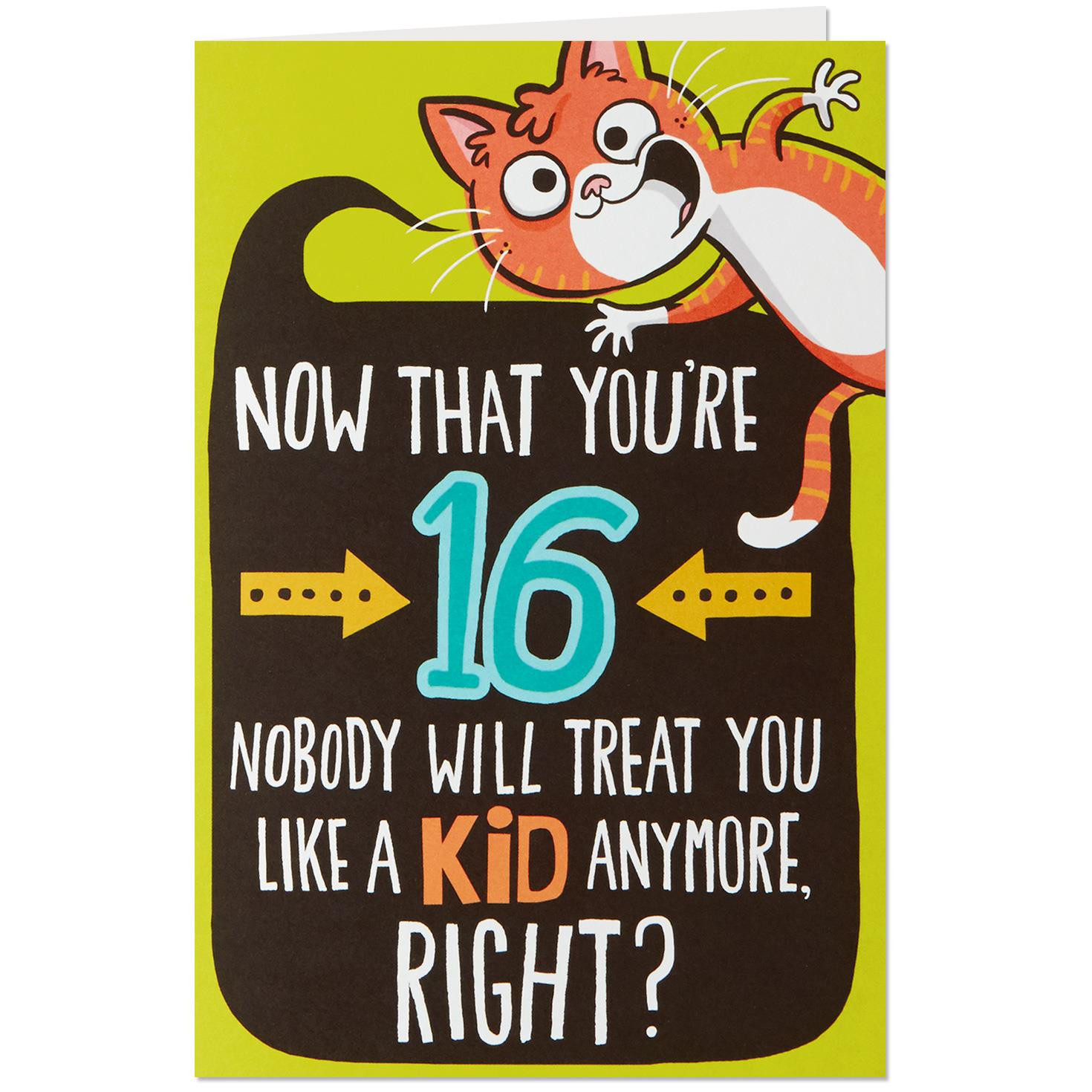 Funny 16th Birthday Cards
 Not a Kid Anymore Funny Pop Up 16th Birthday Card