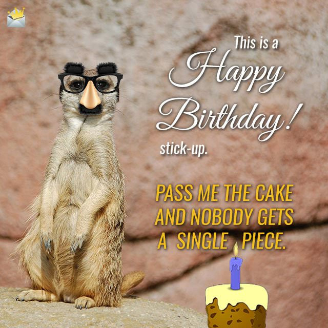 Funny Animal Birthday Cards
 Cute Animals and Funny Happy Birthday Wishes
