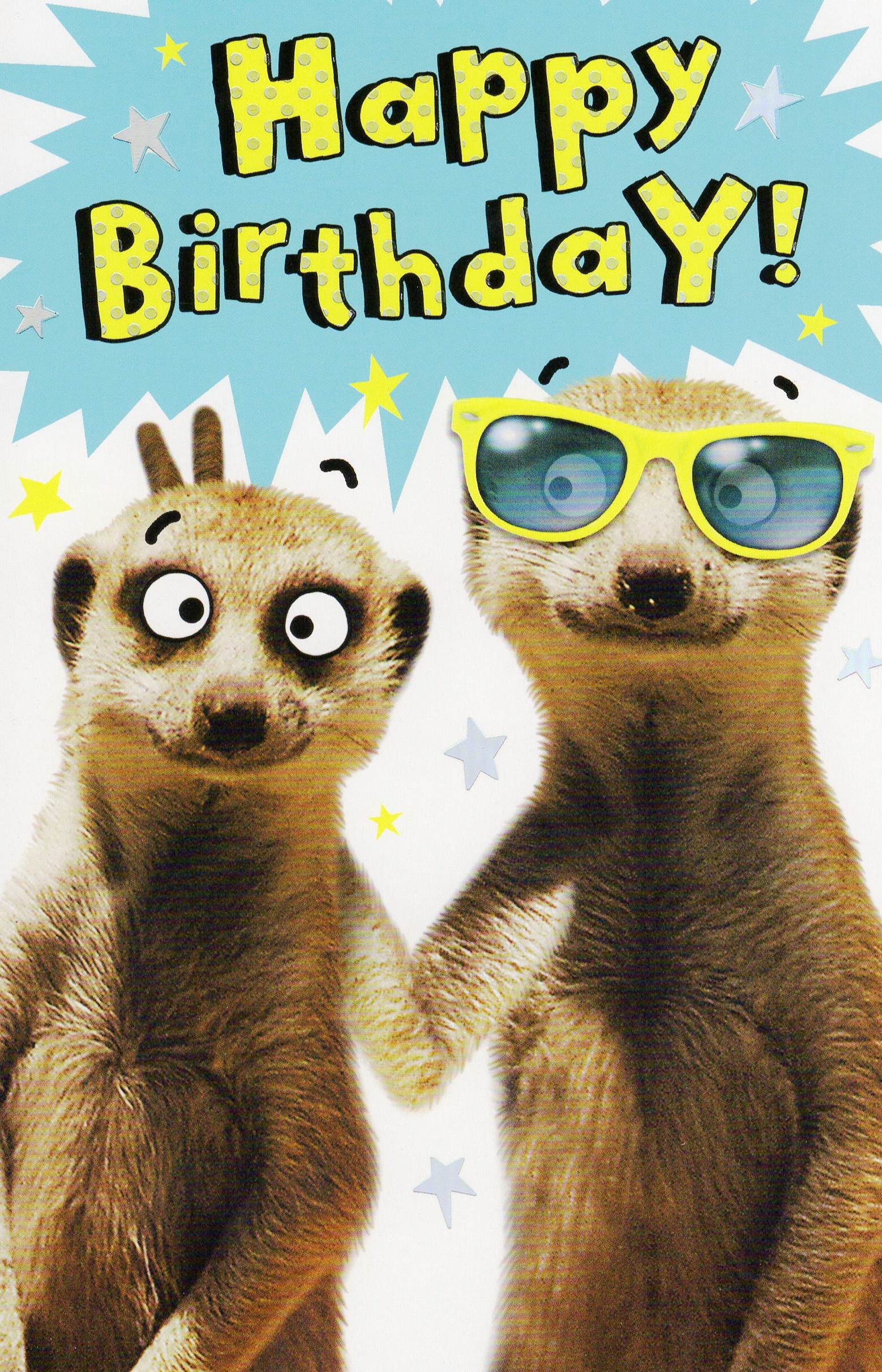 Funny Animal Birthday Cards
 Funny Meerkat Happy Birthday Card Humour Greeting Cards