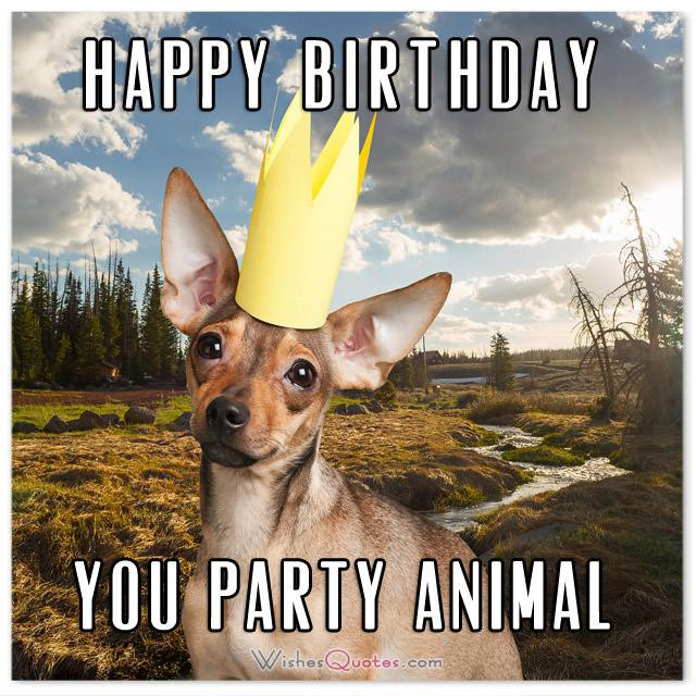 Funny Animal Birthday Cards
 The Funniest and most Hilarious Birthday Messages and Cards
