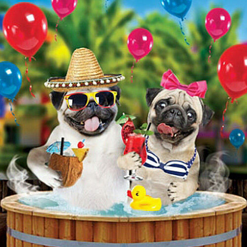 Funny Animal Birthday Cards
 3D Holographic Birthday Card Hot Tub Pug Dogs Funny Dog