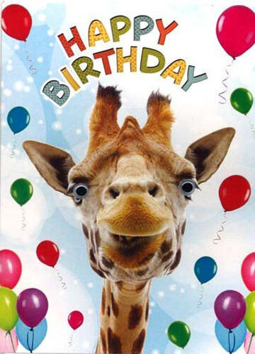 Funny Animal Birthday Cards
 Funny Giraffe & Balloons Birthday Card 3D Goggly Moving