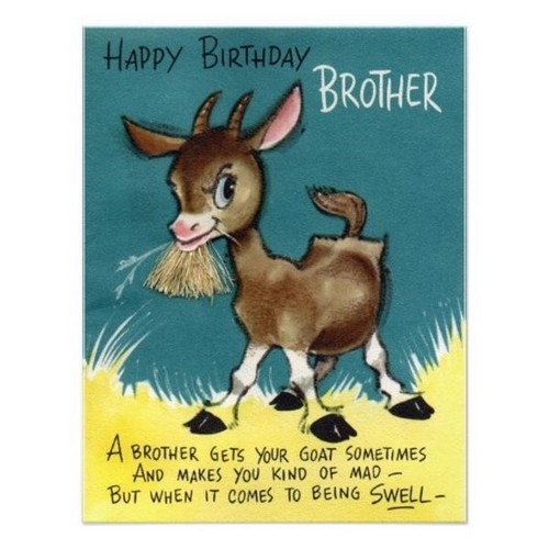 Funny Birthday Cards Brother
 Happy Birthday Crazy Brother Wishes