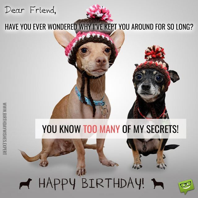 Funny Birthday Greetings To A Friend
 Funny Birthday Wishes for your Family & Friends