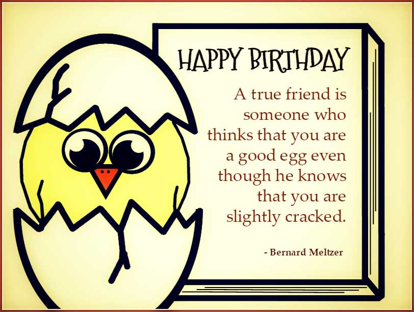 Funny Birthday Quotes Friend
 Best Friend Birthday Quotes Quotes and Sayings
